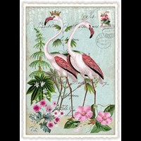 Flamingo (o. T.)