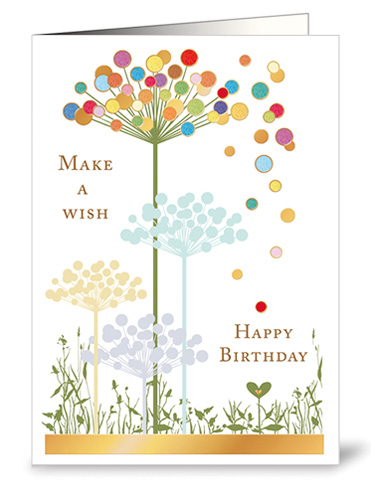 Make a wish Happy Birthday
