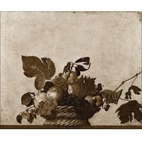 Caravaggio M.: Corbeille