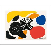 Calder, A.: Spirals and petals