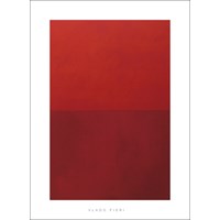 Fieri, V.: Monochrome Red