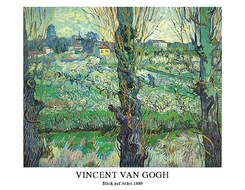 van Gogh, V.: Blick auf Arles