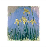 Monet, C.: Les Iris Jaunes