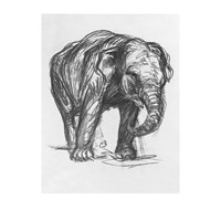 Marc, Franz : Elefant, 1907