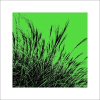 Polla, D.: Grass (green), 2011 ZG