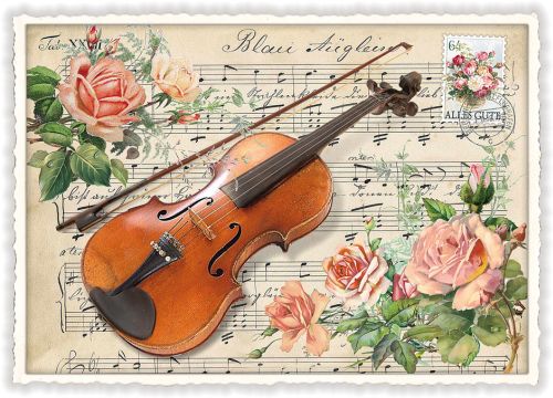 Violine (o. T.)