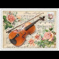 Violine (o. T.)
