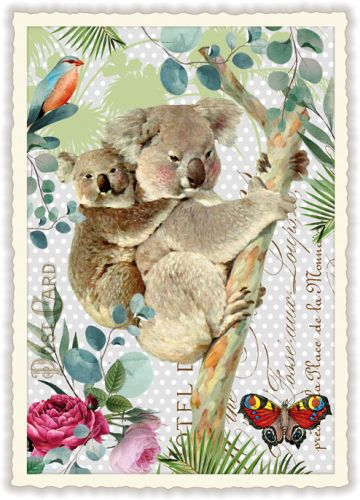 Koalas (o.T.) (Hoch)