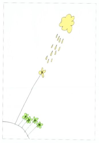 Regen auf Blume (o.T.)