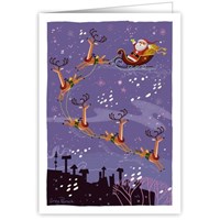 Santa in his flying sleigh